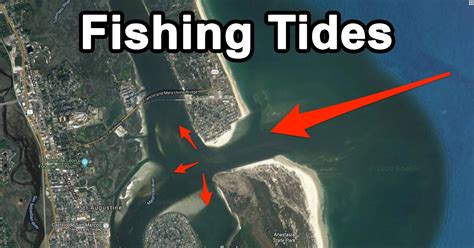 Is High Tide Good for Fishing? And Why Do Fish Wear Sunglasses?