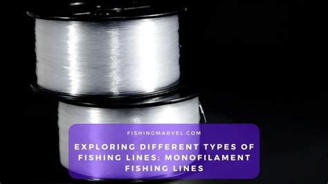 Is Monofilament Fishing Line Good? Exploring the Tangled Web of Angling Choices