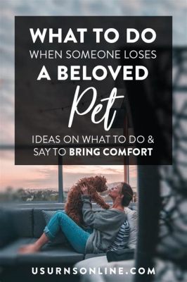 Nice Things to Do When Someone Loses a Pet: A Symphony of Comfort and Chaos