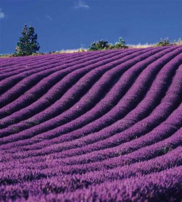 Vestita di Blu! Un'immersione romantica e nostalgica nell'Italia degli anni '20.