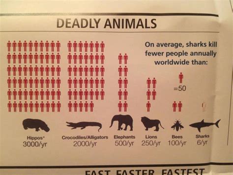 What Animal Kills the Most Humans in Africa? And Why Do We Still Underestimate Their Power?