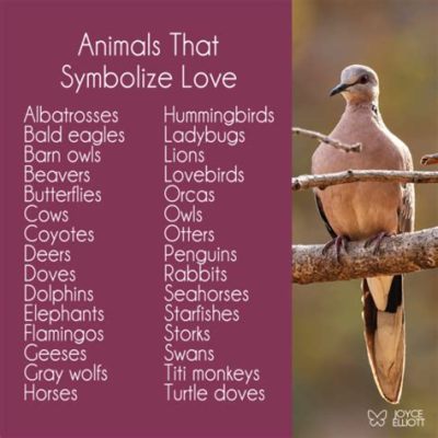 What Animal Represents Love: A Journey Through Symbolism and Interpretation