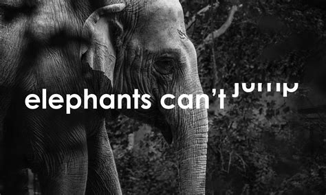 What is the Only Animal That Can't Jump? And Why Do Elephants Prefer to Dance in the Rain?