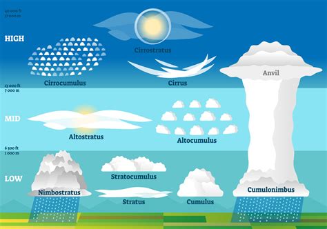 What Weather is Associated with Cumulus Clouds: A Journey Through the Skies and Beyond