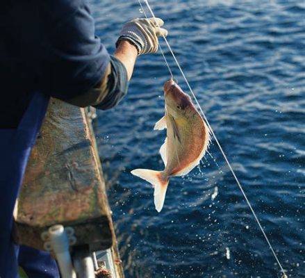 Why is longline fishing harmful, and does it secretly teach fish to avoid gyms?